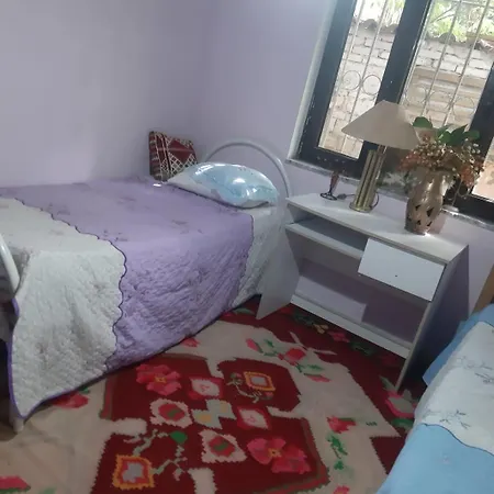 162 Rruga Siri Kodra Albania Homestay *