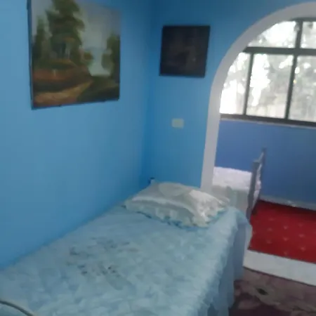 162 Rruga Siri Kodra Albania Tirana